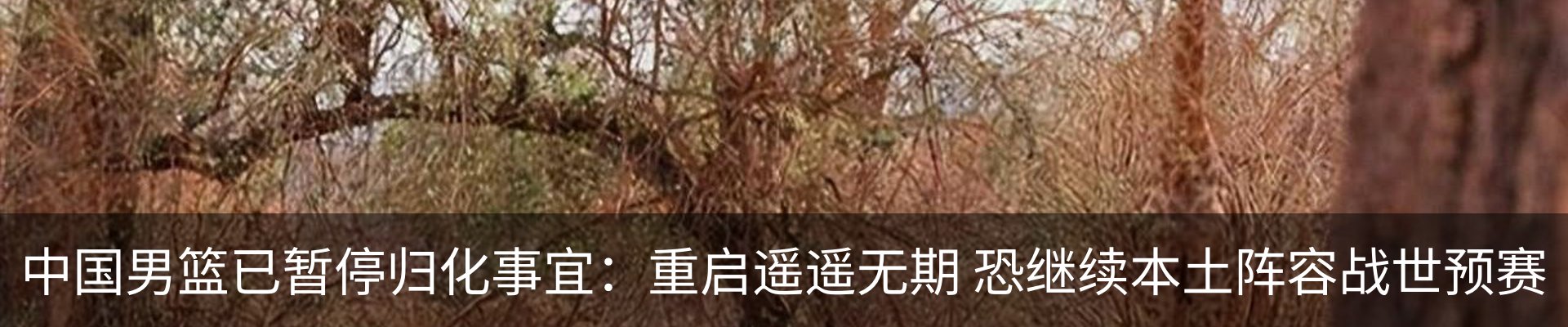 行业资讯
