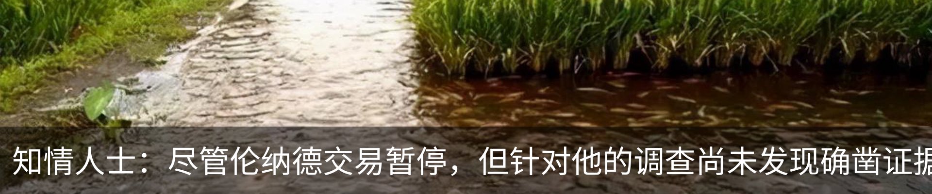 行业资讯
